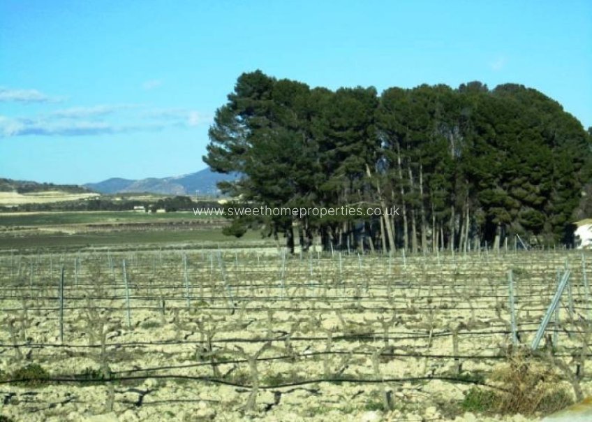 Resale - Plot - Salinas