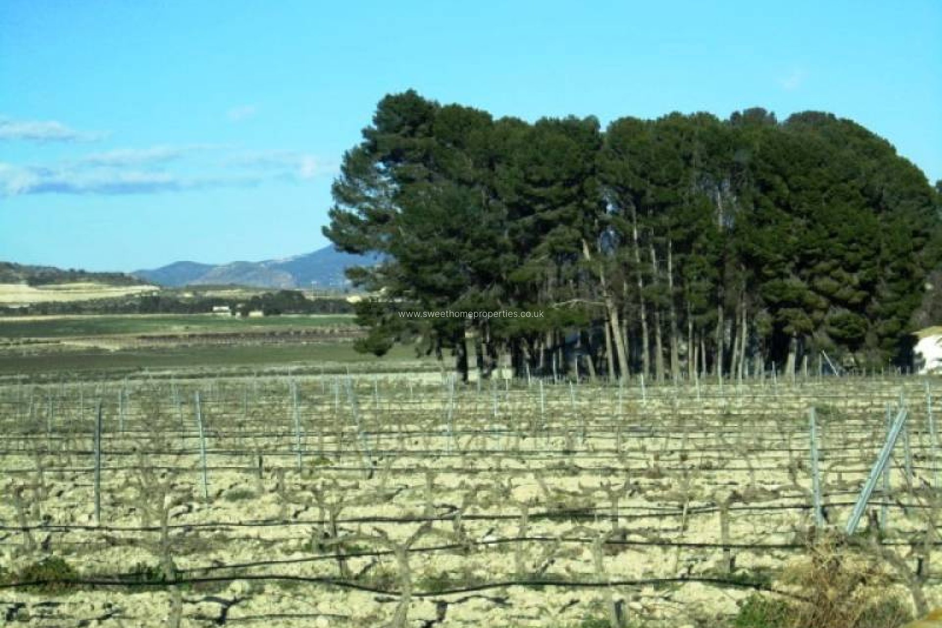 Resale - Plot - Salinas