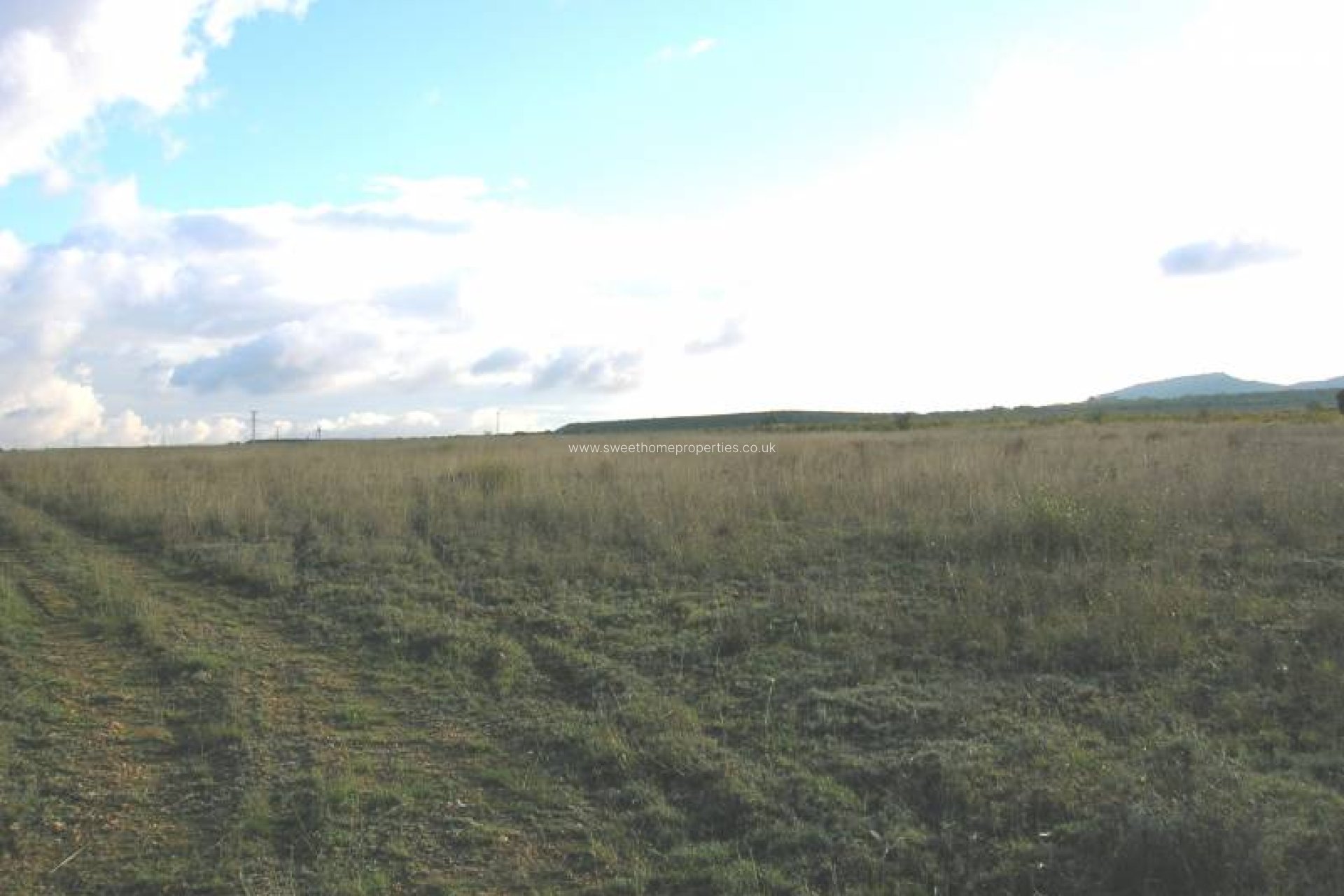 Resale - Plot - Yecla - LOS AMBROSIOS