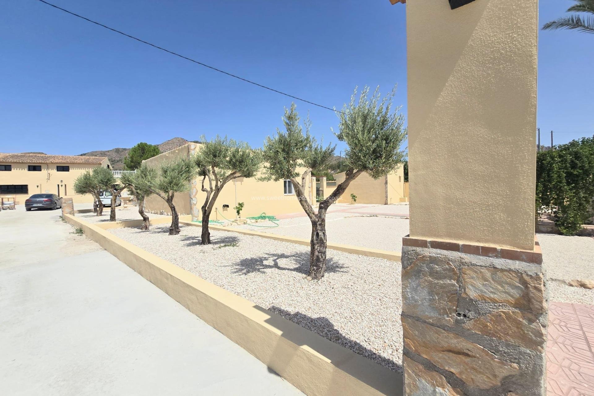 Resale - Town house - Abanilla