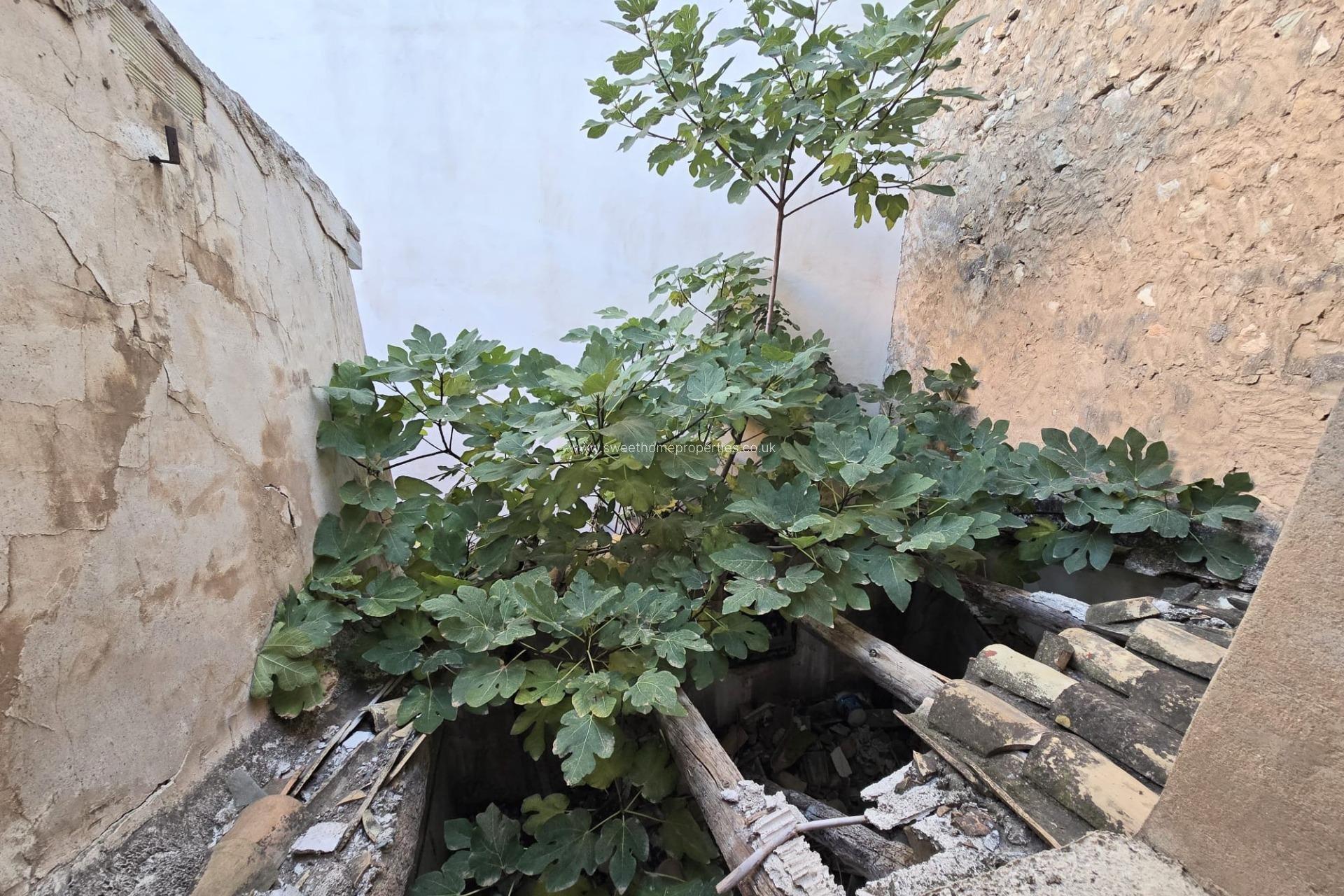 Resale - Town house - Aspe - Centro