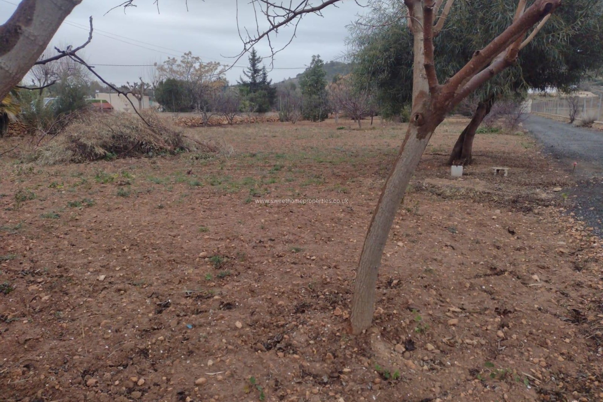 Resale - Town house - Hondon De Las Nieves - ALGUASTA