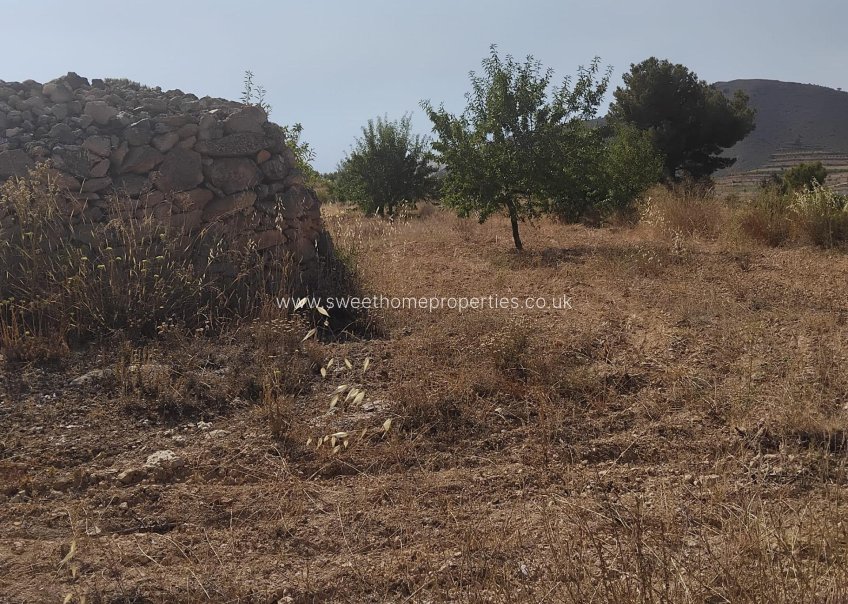 Resale - Town house - La Romana - Comunidad valenciana