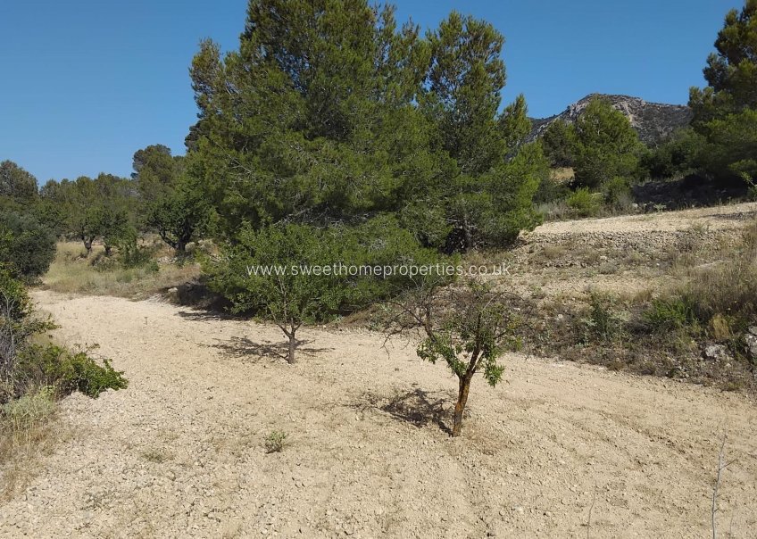 Resale - Town house - La Romana - Comunidad valenciana