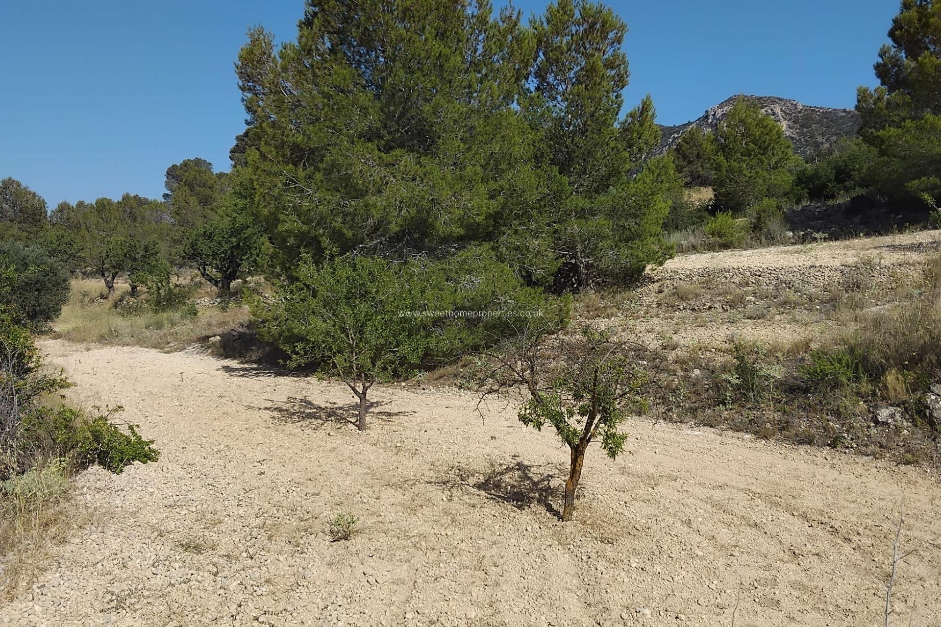 Resale - Town house - La Romana - Comunidad valenciana