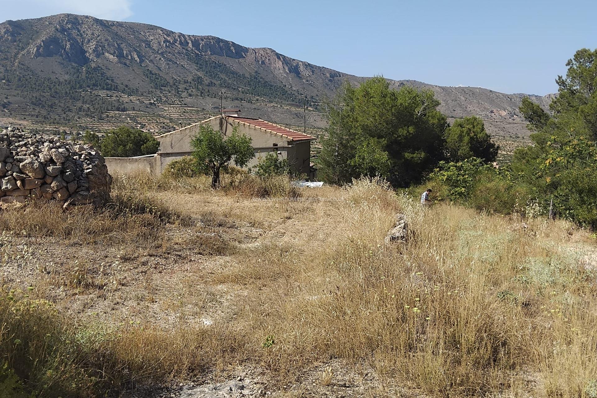 Resale - Town house - La Romana - Comunidad valenciana