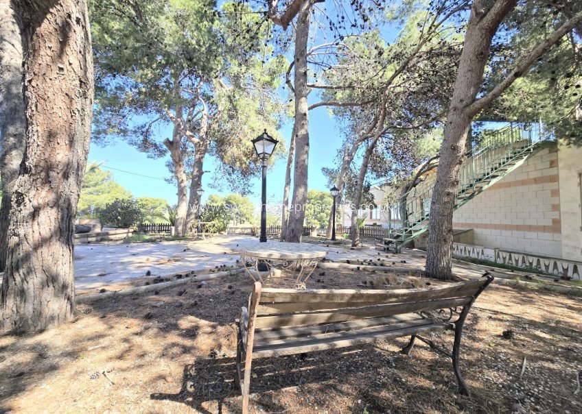 Resale - Villa - Aspe - El rabosero