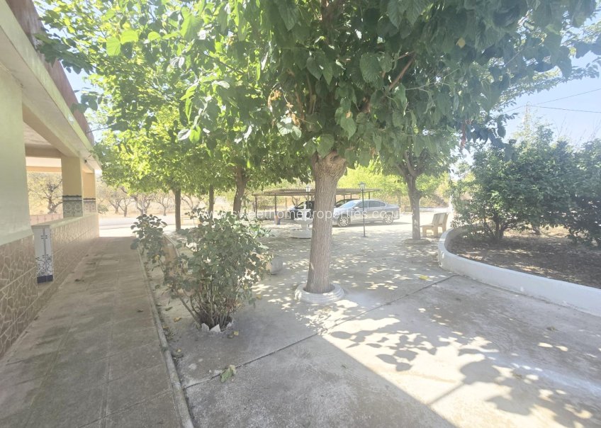 Resale - Villa - Aspe - El tolomó