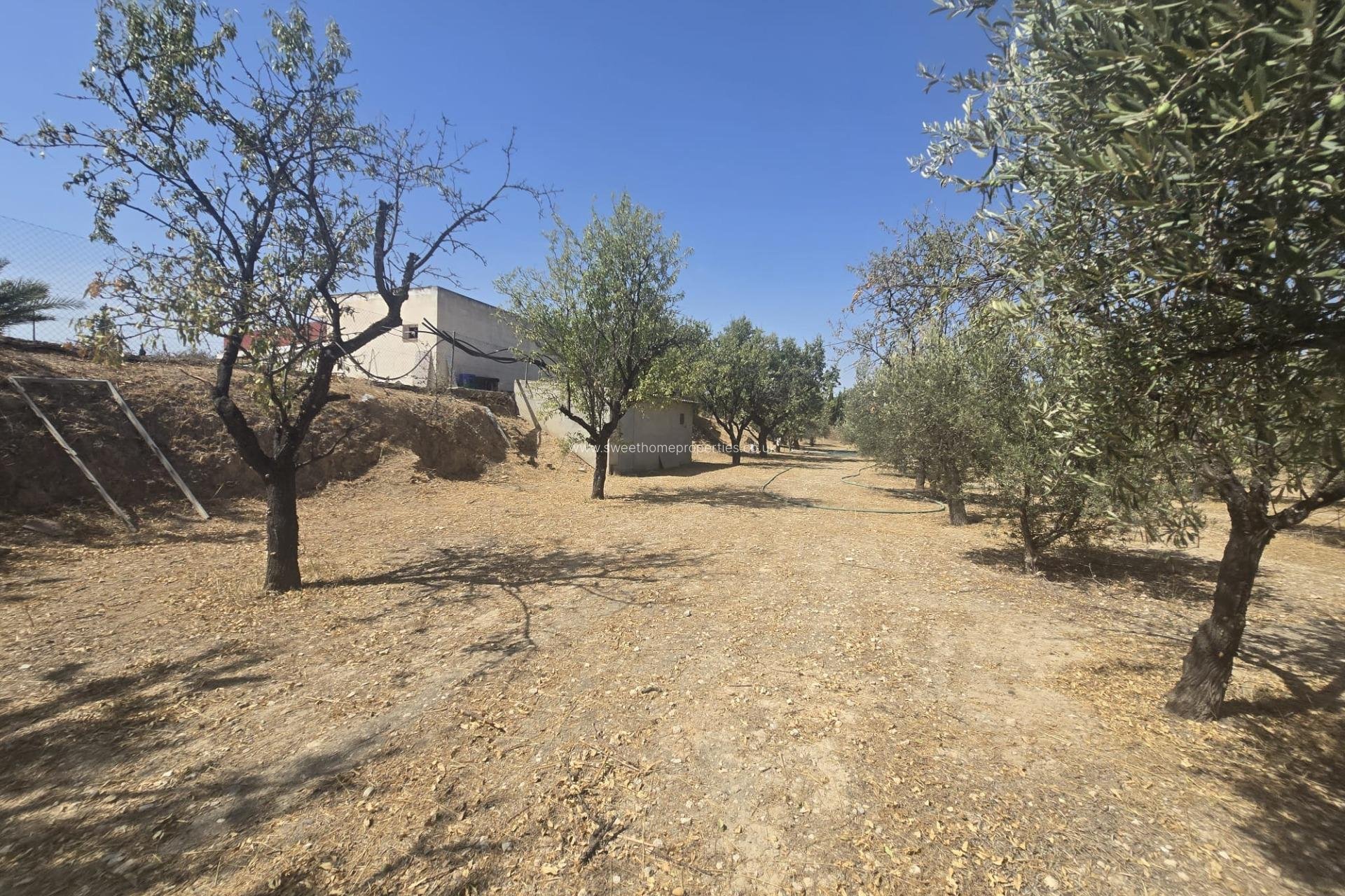 Resale - Villa - Aspe - El tolomó