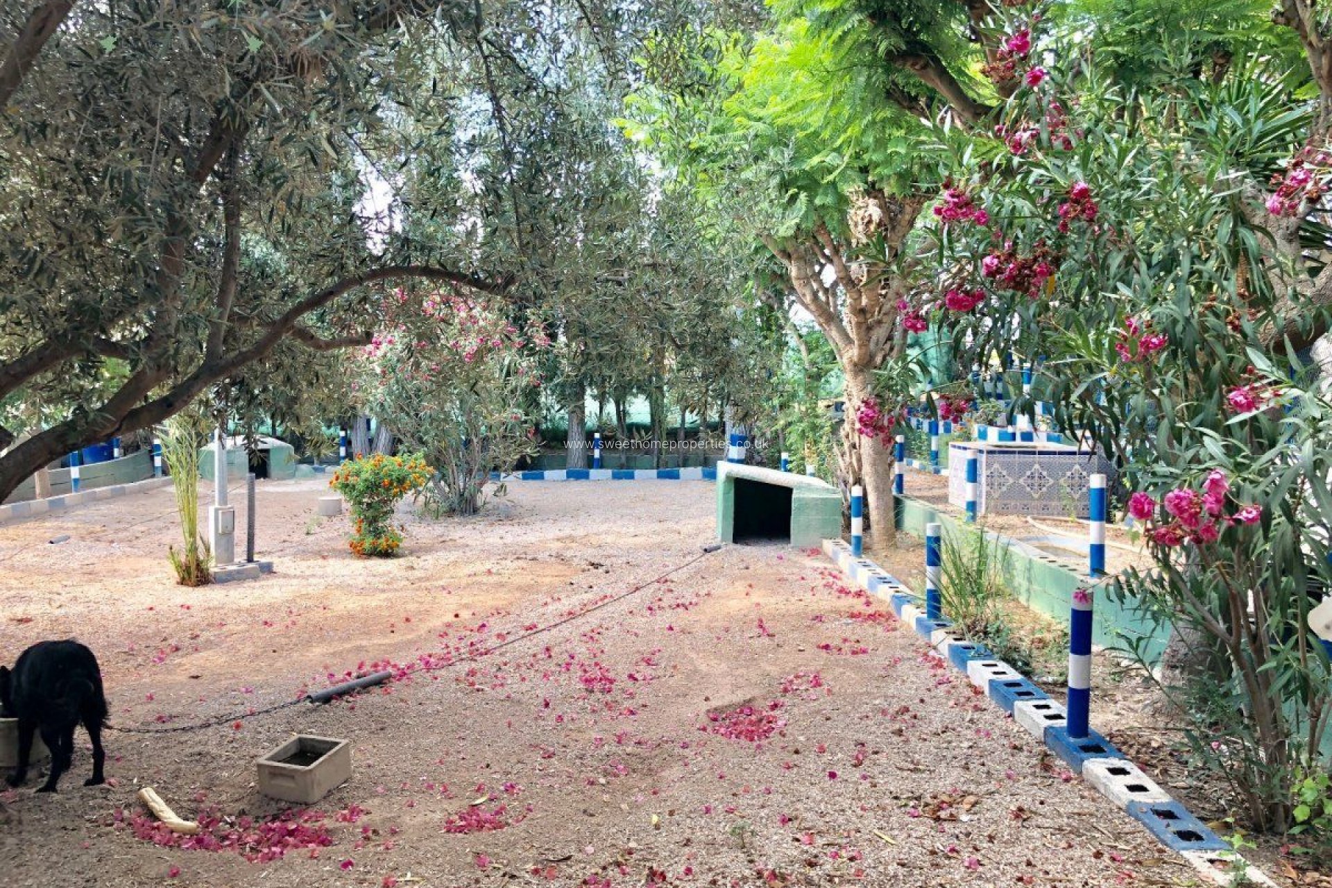 Resale - Villa - Crevillente - BARRANCO SAN CAYETANO