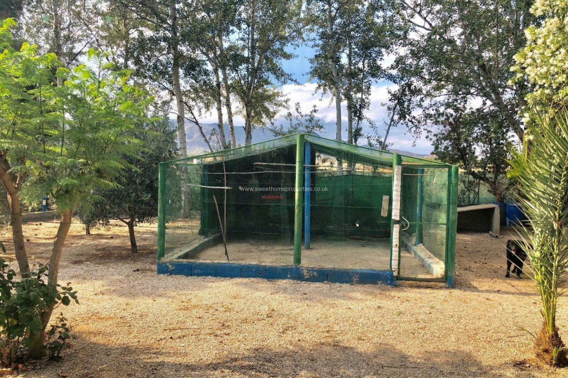 Resale - Villa - Crevillente - BARRANCO SAN CAYETANO