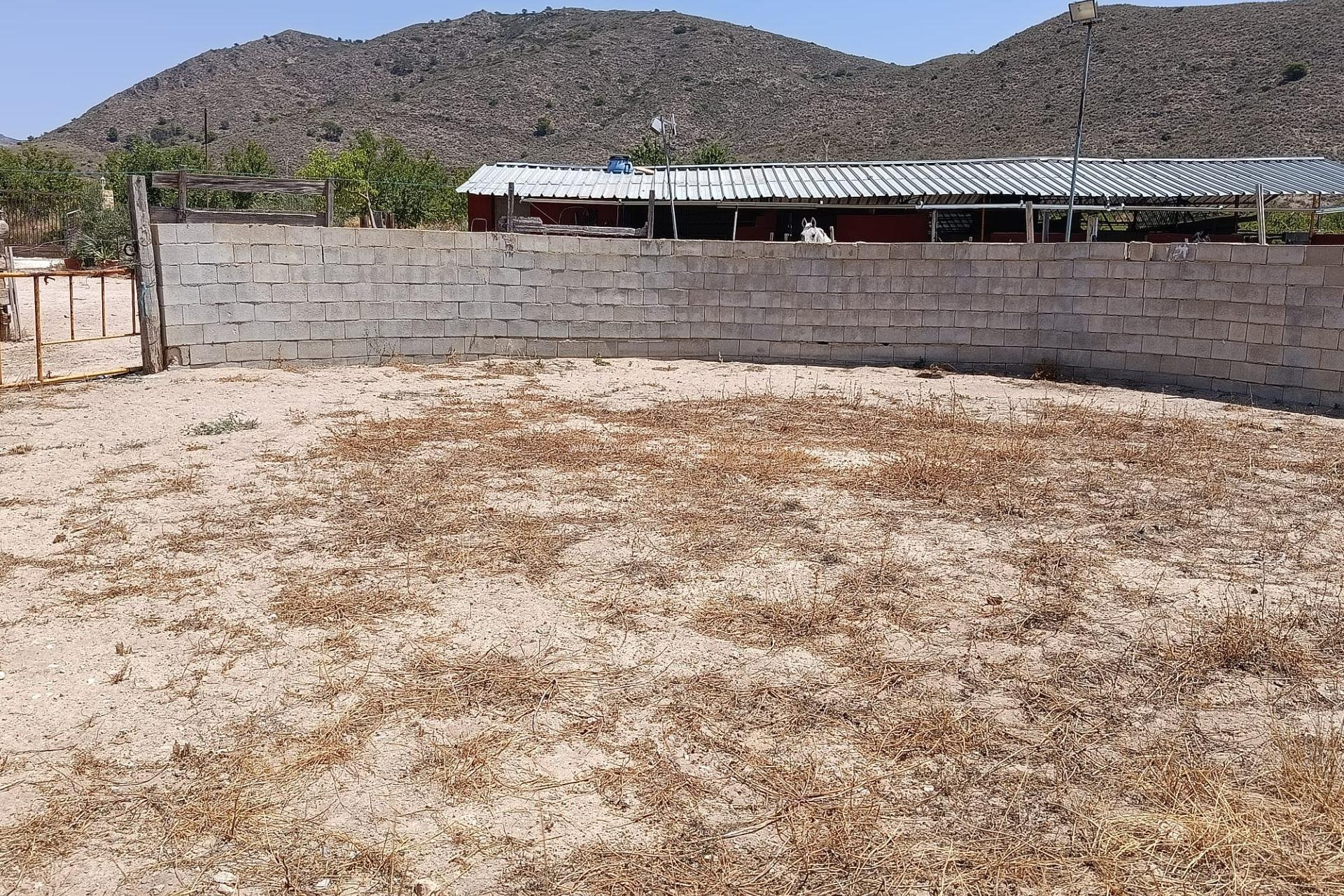 Resale - wooden house - Orihuela - La Murada-Los Vicentes