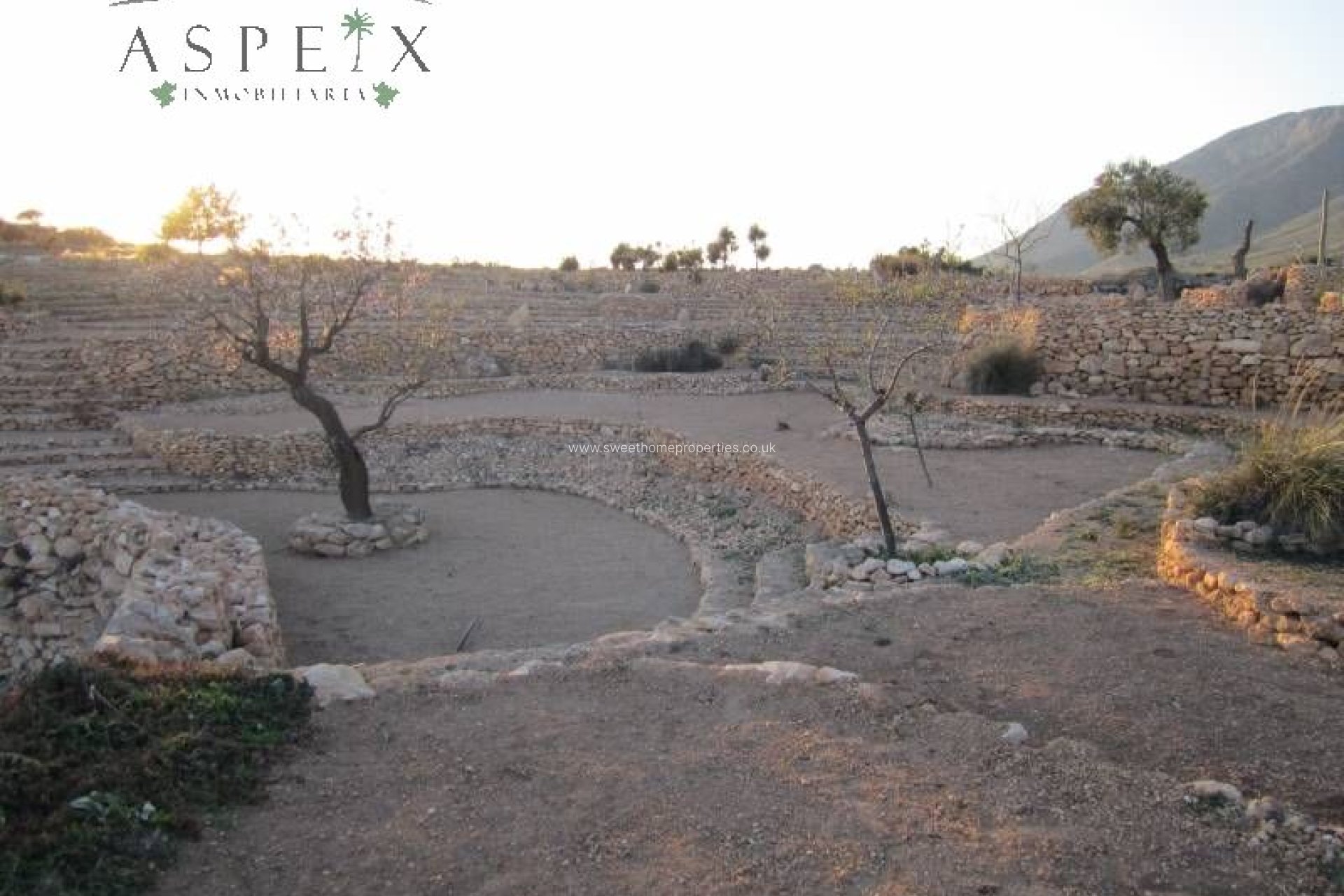 Reventa - Casa cueva - Hondon De Las Nieves - LA CANALOSA