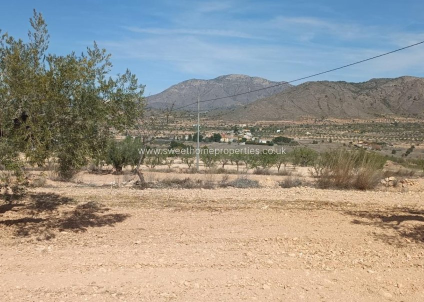 Reventa - Casa cueva - Orihuela - Torremendo