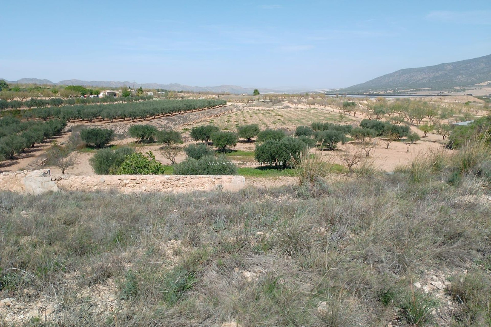 Reventa - Casa cueva - Yecla - Raspay