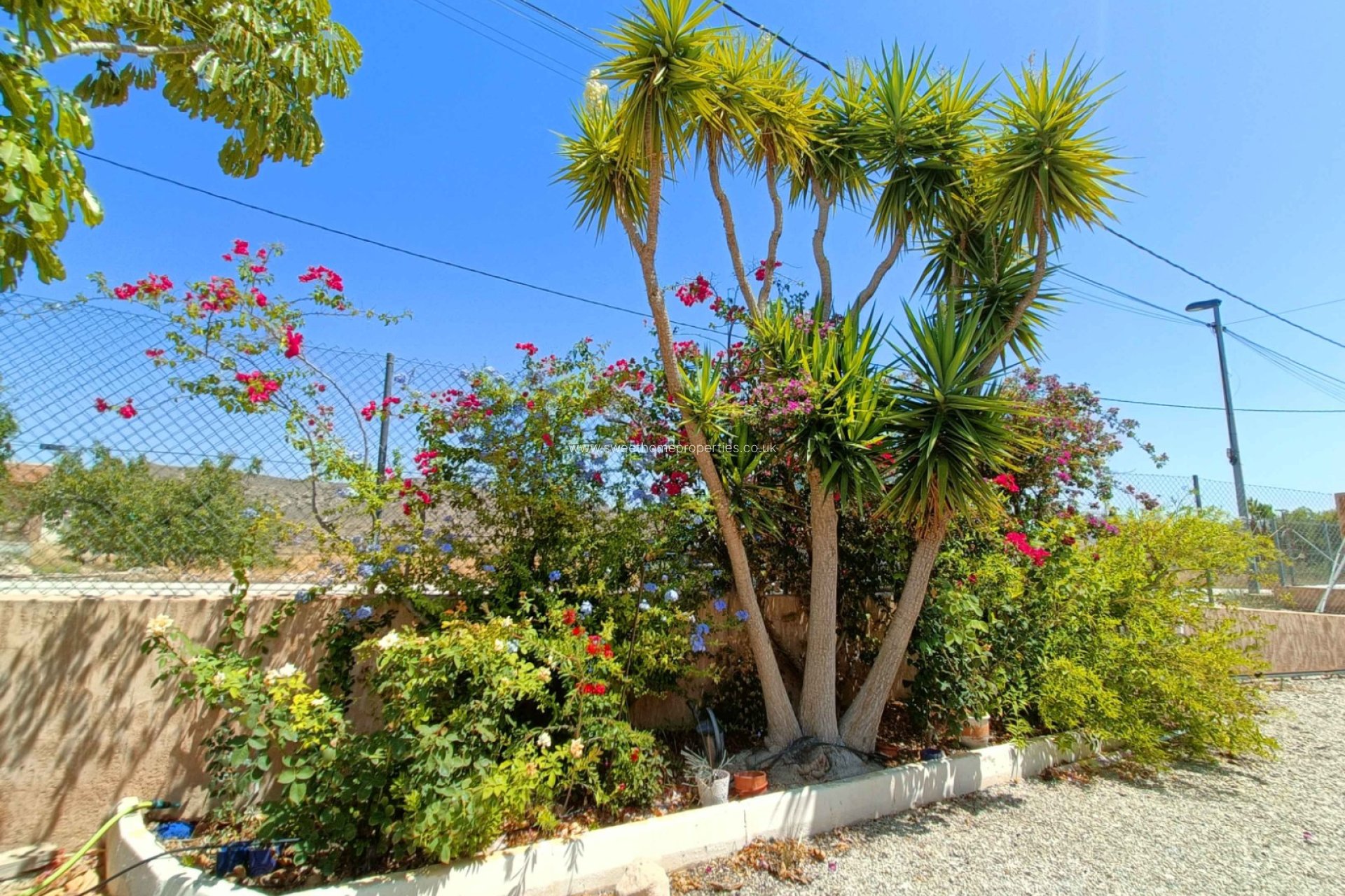 Reventa - Casa de campo - Abanilla