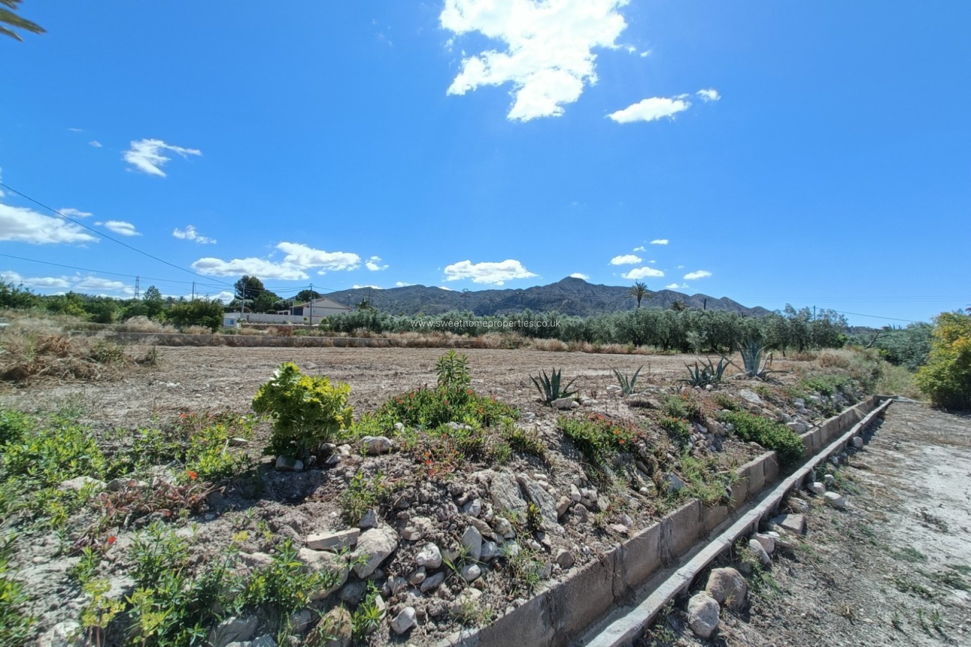 Reventa - Casa de campo - Abanilla