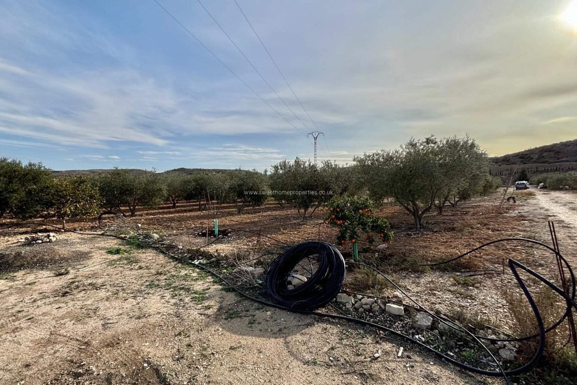 Reventa - Casa de campo - Aspe - El rabosero