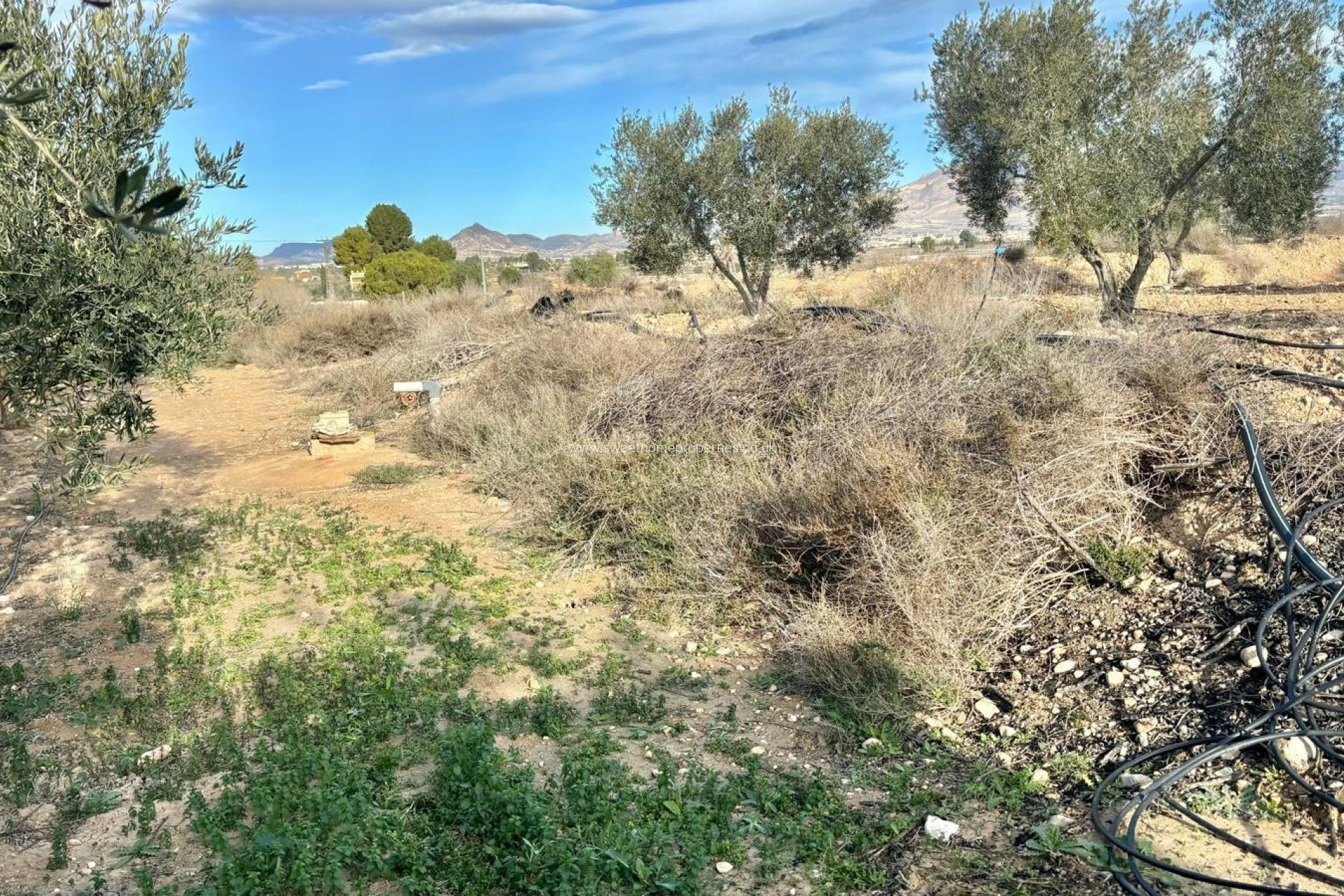 Reventa - Casa de campo - Aspe - El rabosero