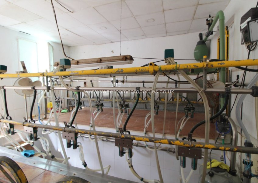 Reventa - Casa de campo - Aspe - Huerta mayor