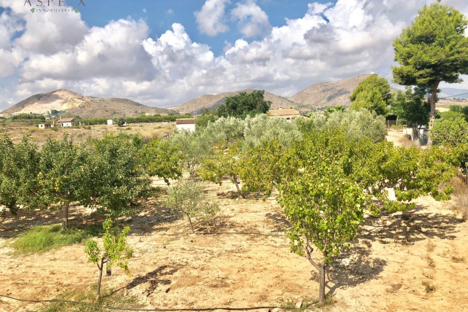 Reventa - Casa de campo - Aspe - Tolomo Alto