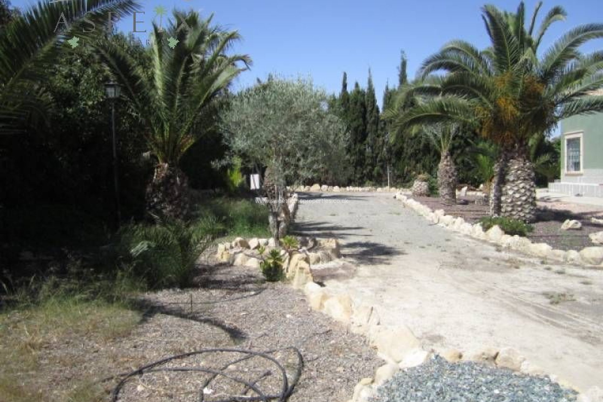 Reventa - Casa de campo - Aspe - Tolomo