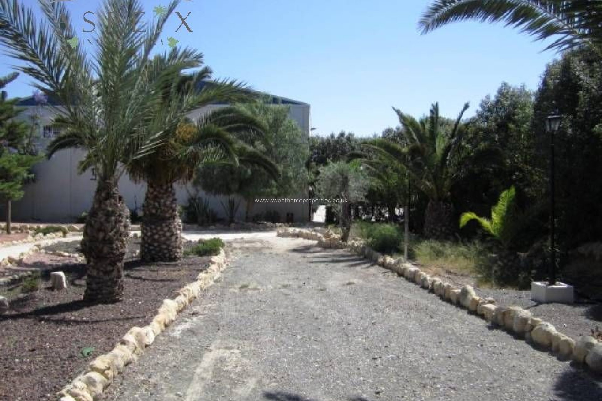 Reventa - Casa de campo - Aspe - Tolomo