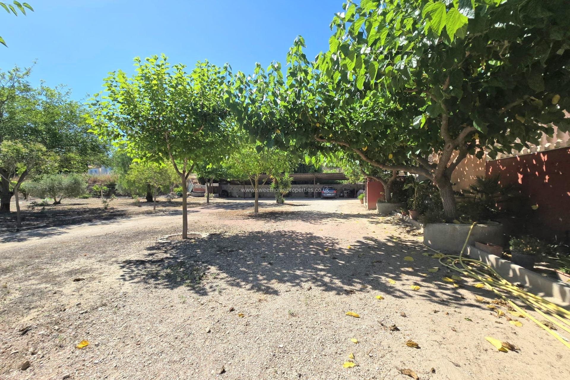Reventa - Casa de campo - Aspe - Tolomo