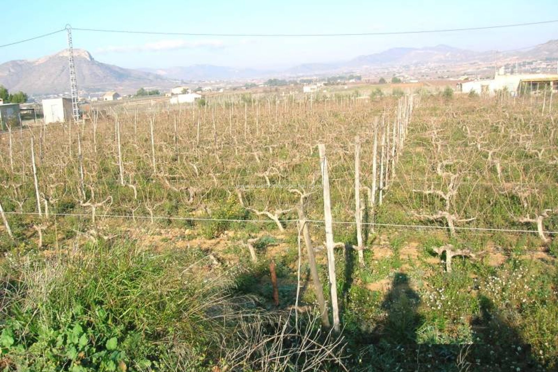 Reventa - Casa de campo - Aspe