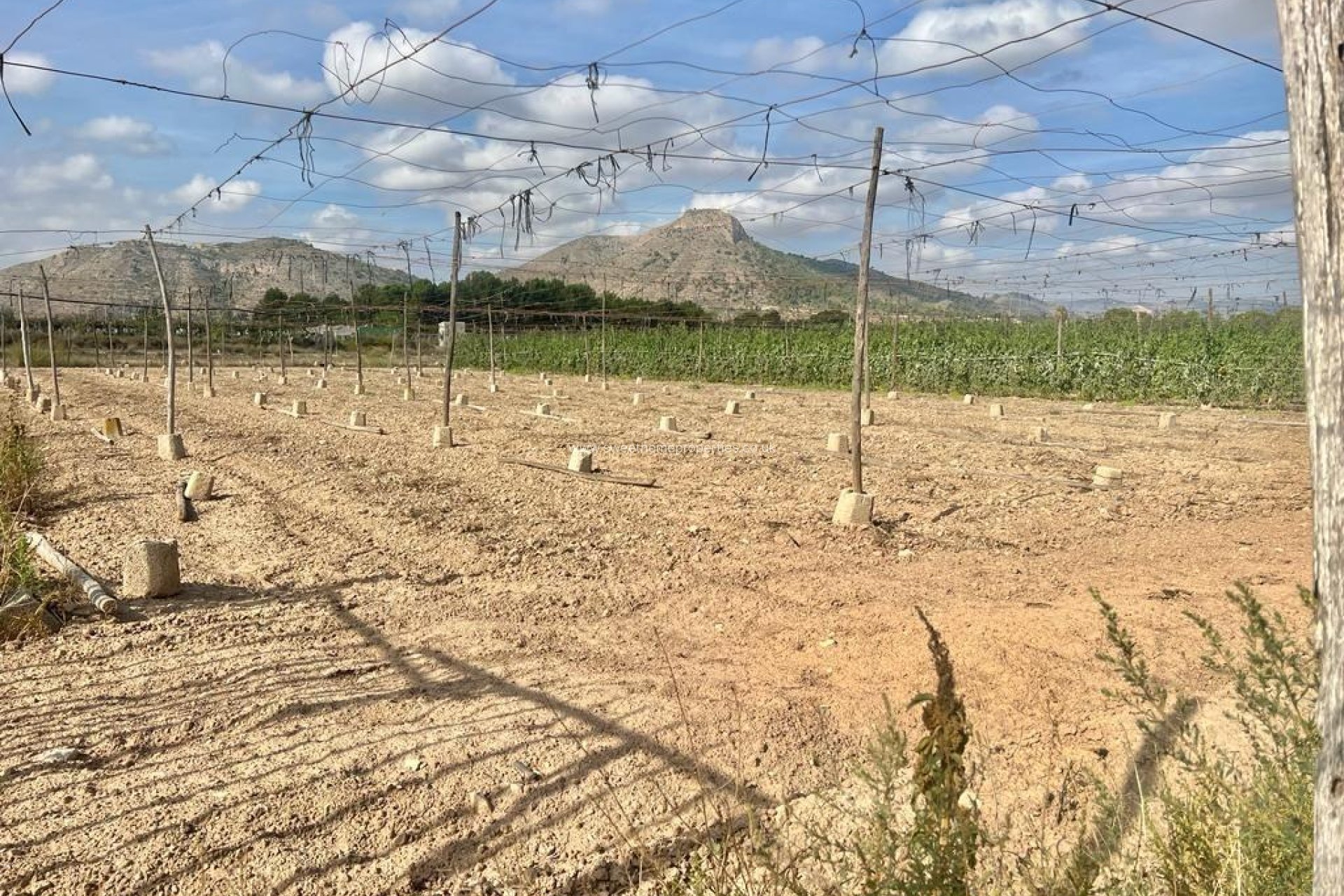 Reventa - Casa de campo - Aspe