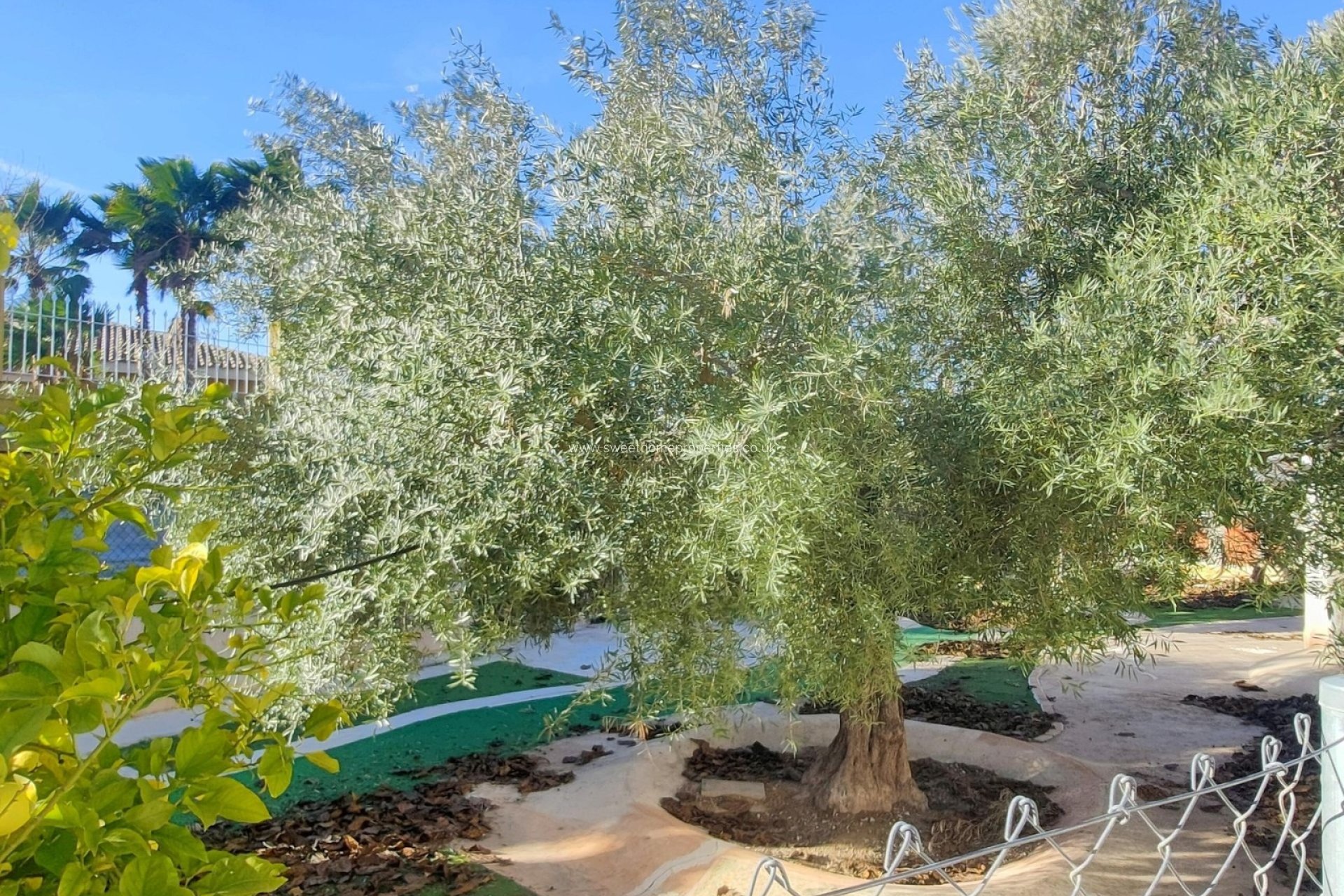 Reventa - Casa de campo - Aspe