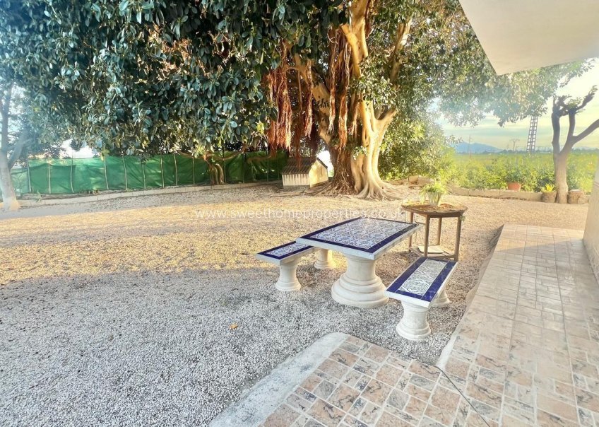 Reventa - Casa de campo - Crevillente - BARRANCO SAN CAYETANO