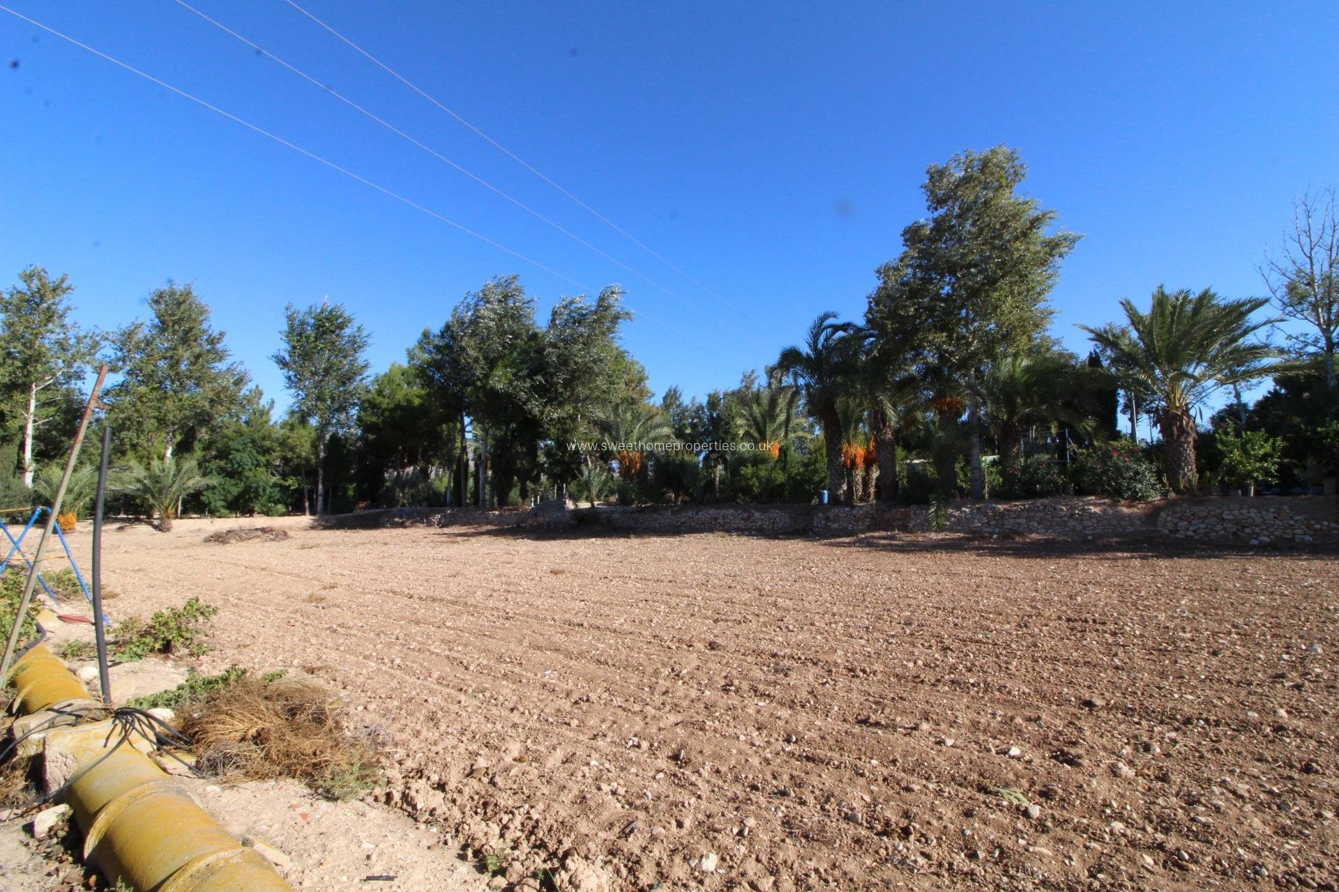 Reventa - Casa de campo - Crevillente - BARRANCO SAN CAYETANO