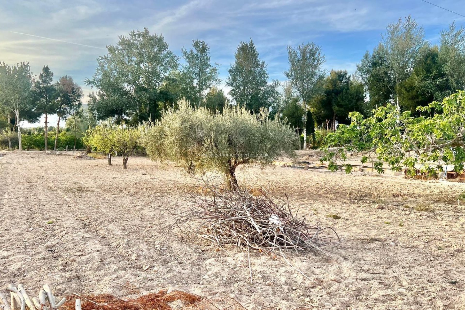 Reventa - Casa de campo - Crevillente - BARRANCO SAN CAYETANO