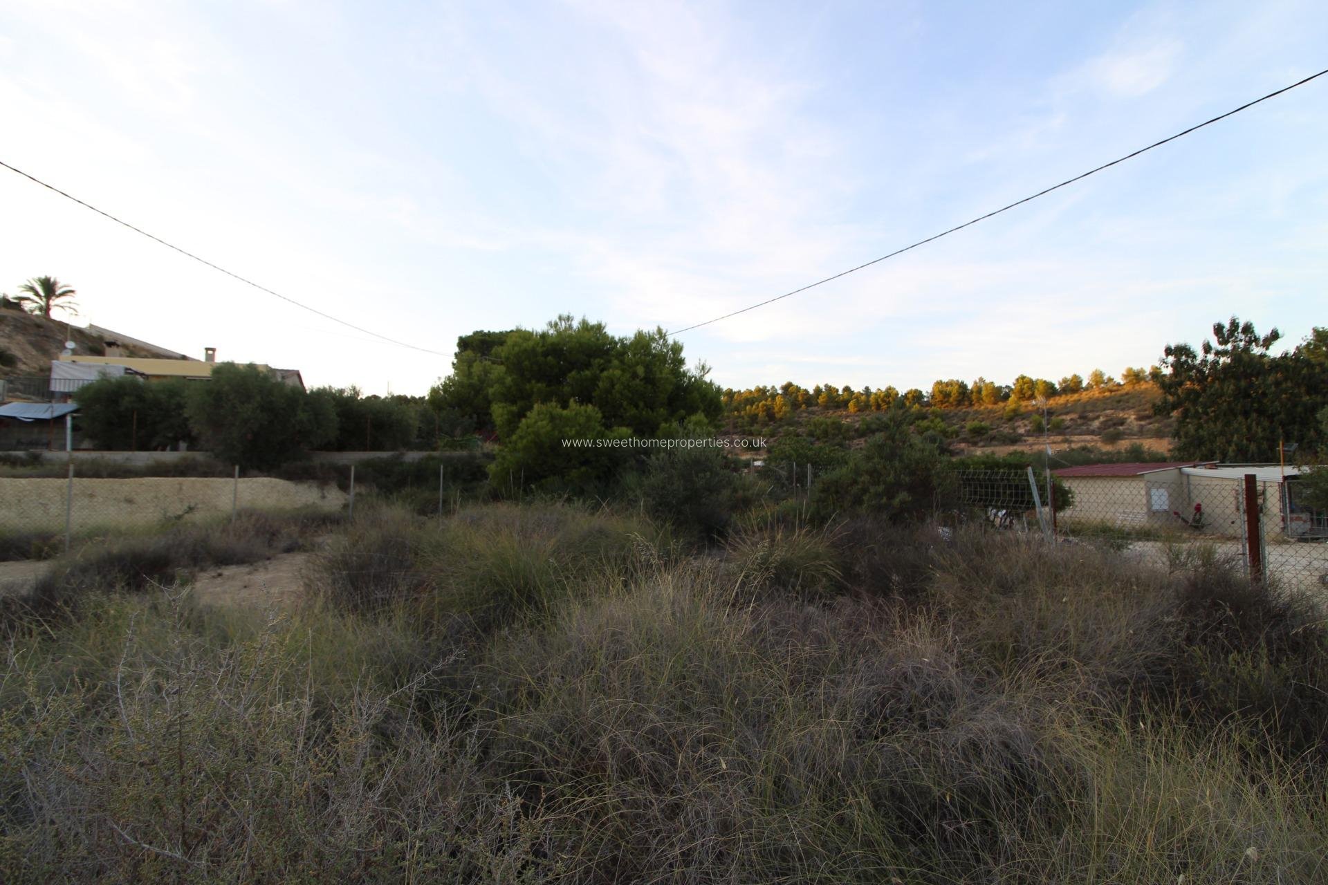 Reventa - Casa de campo - Elche - Carrus