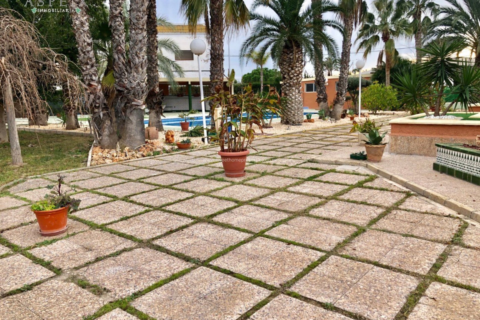 Reventa - Casa de campo - Elche - Matola