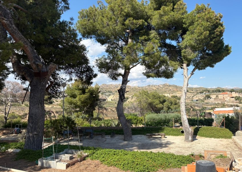 Reventa - Casa de campo - Elche