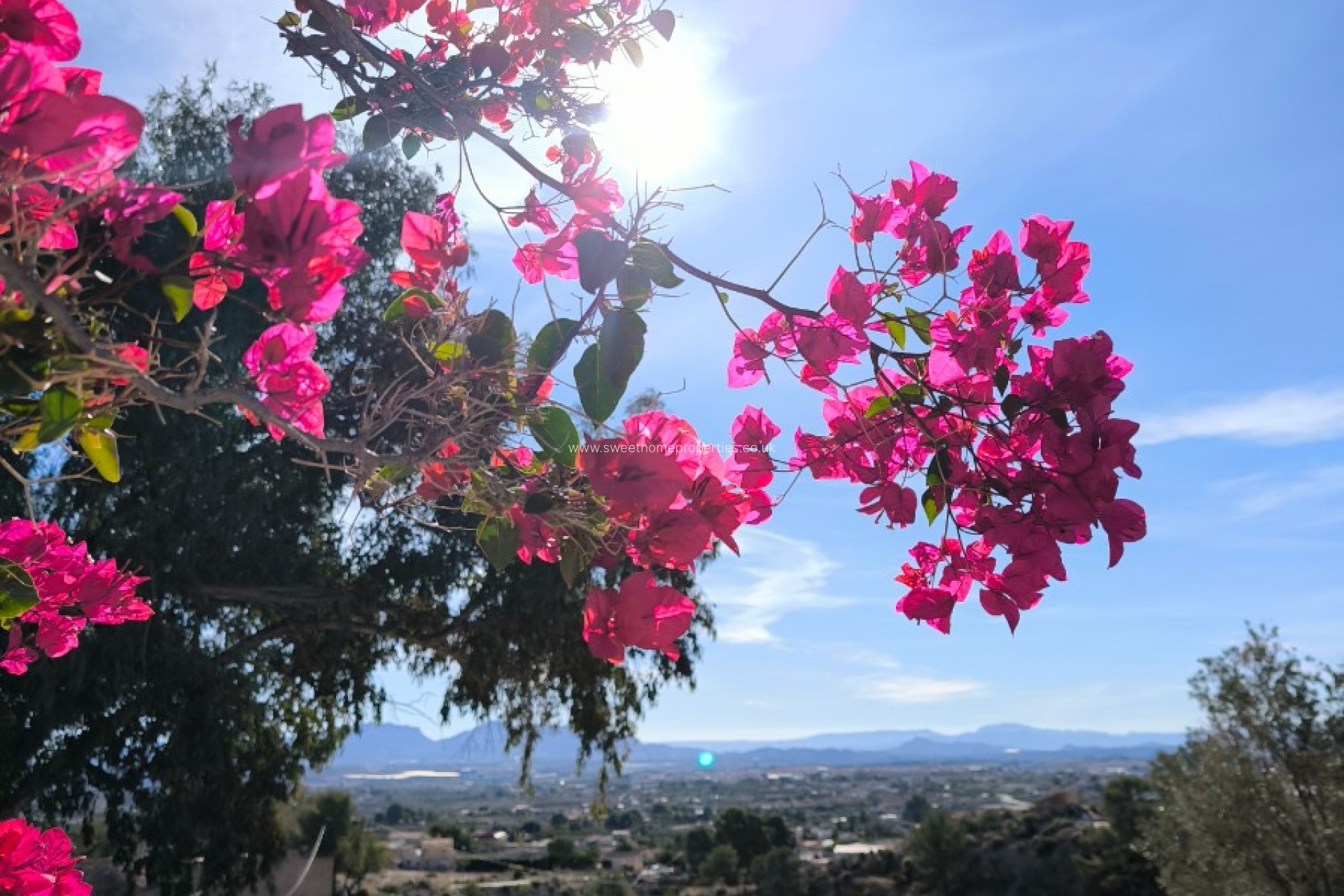 Reventa - Casa de campo - Fortuna
