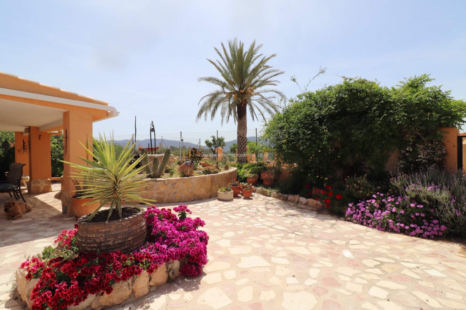 Reventa - Casa de campo - Hondon De Las Nieves - La Canalosa