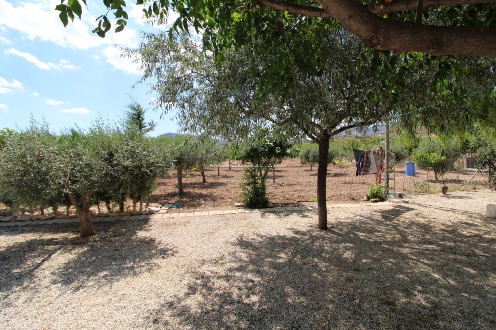 Reventa - Casa de campo - Hondon De Las Nieves - PARTIDA LOS BUFONES