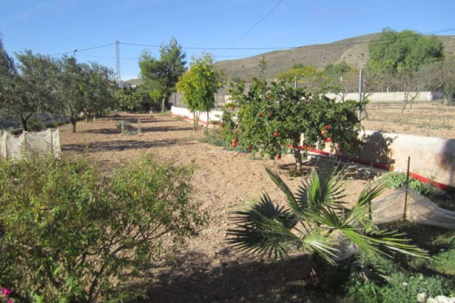 Reventa - Casa de campo - Hondon De Los Frailes - CASAS DE GALIANA