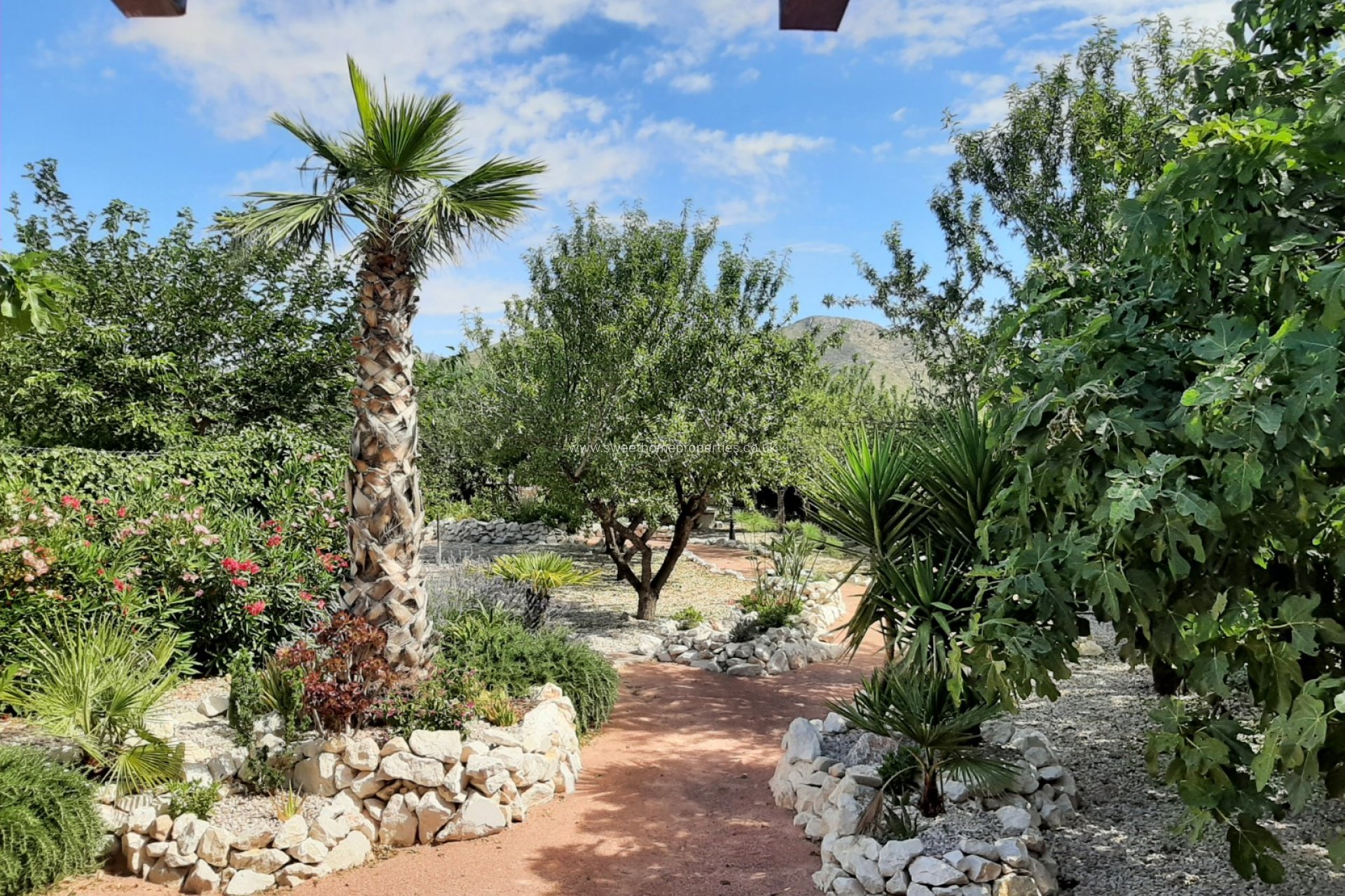 Reventa - Casa de campo - Hondon De Los Frailes
