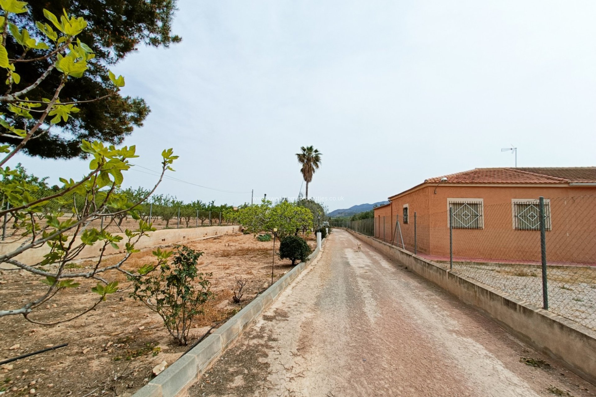 Reventa - Casa de campo - Hondon De Los Frailes