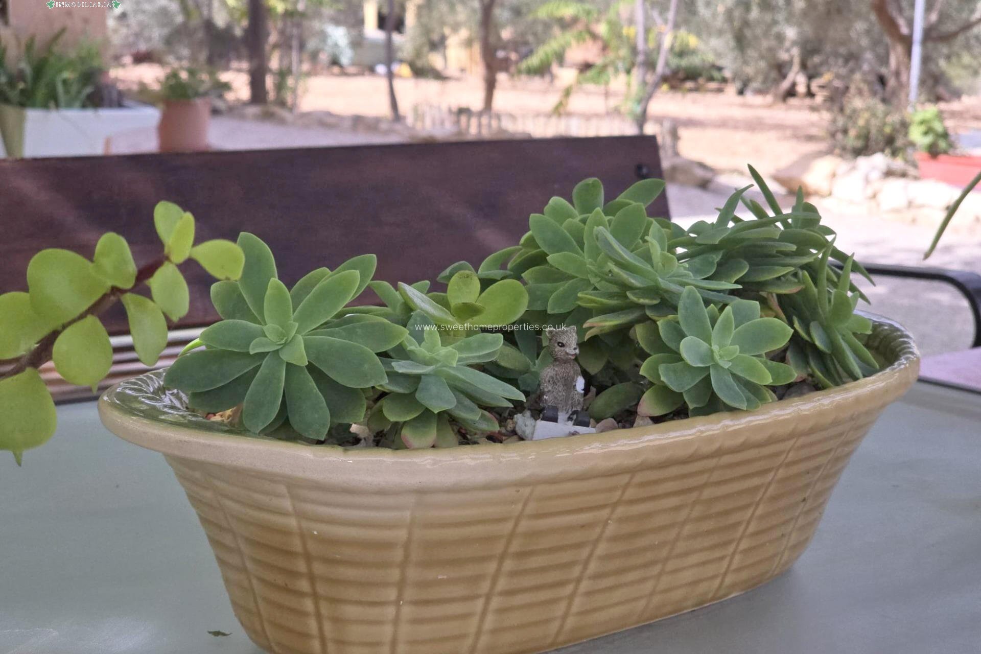 Reventa - Casa de campo - Hondon De Los Frailes