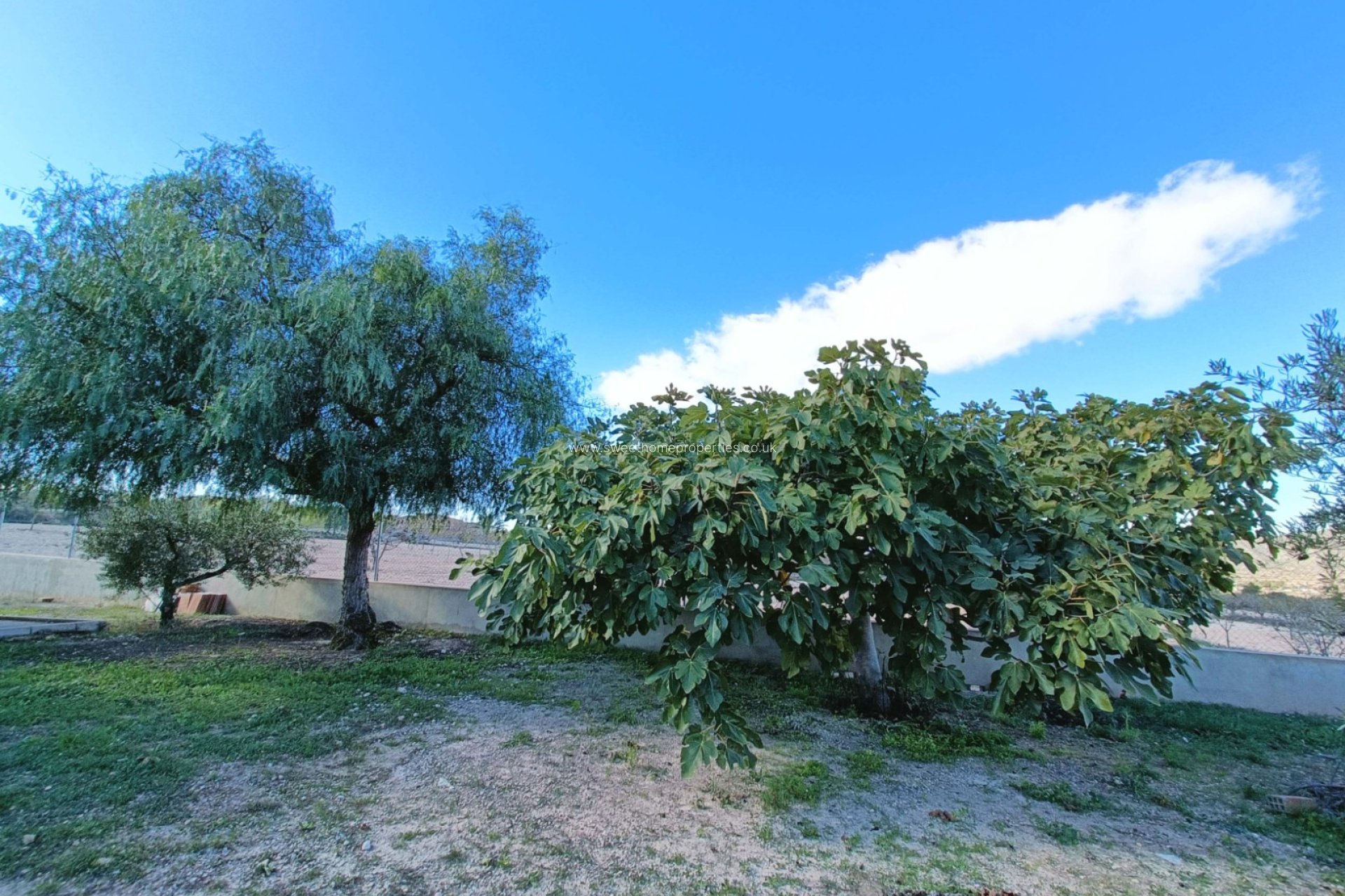 Reventa - Casa de campo - Hondon De Los Frailes