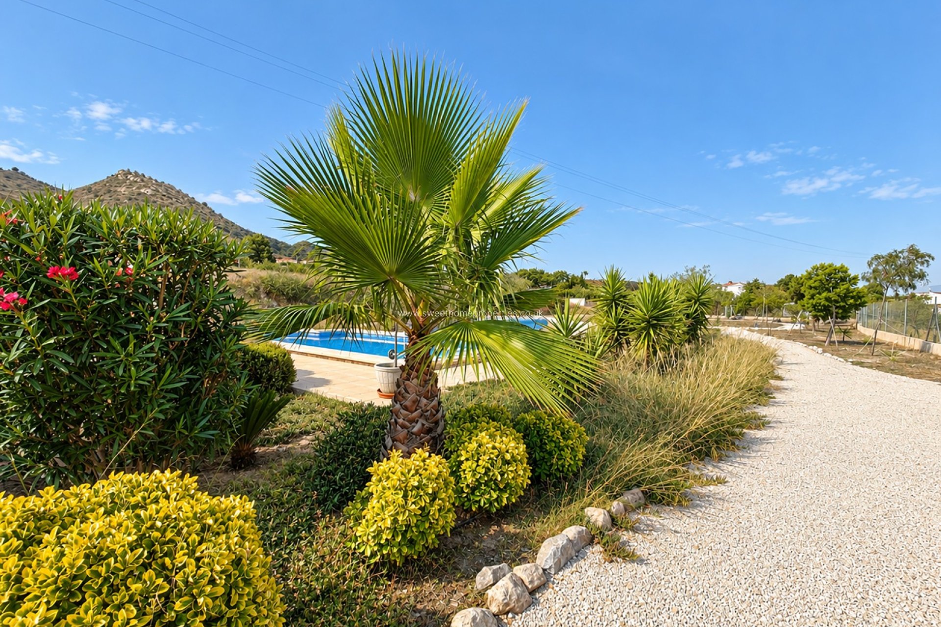Reventa - Casa de campo - Hondon De Los Frailes