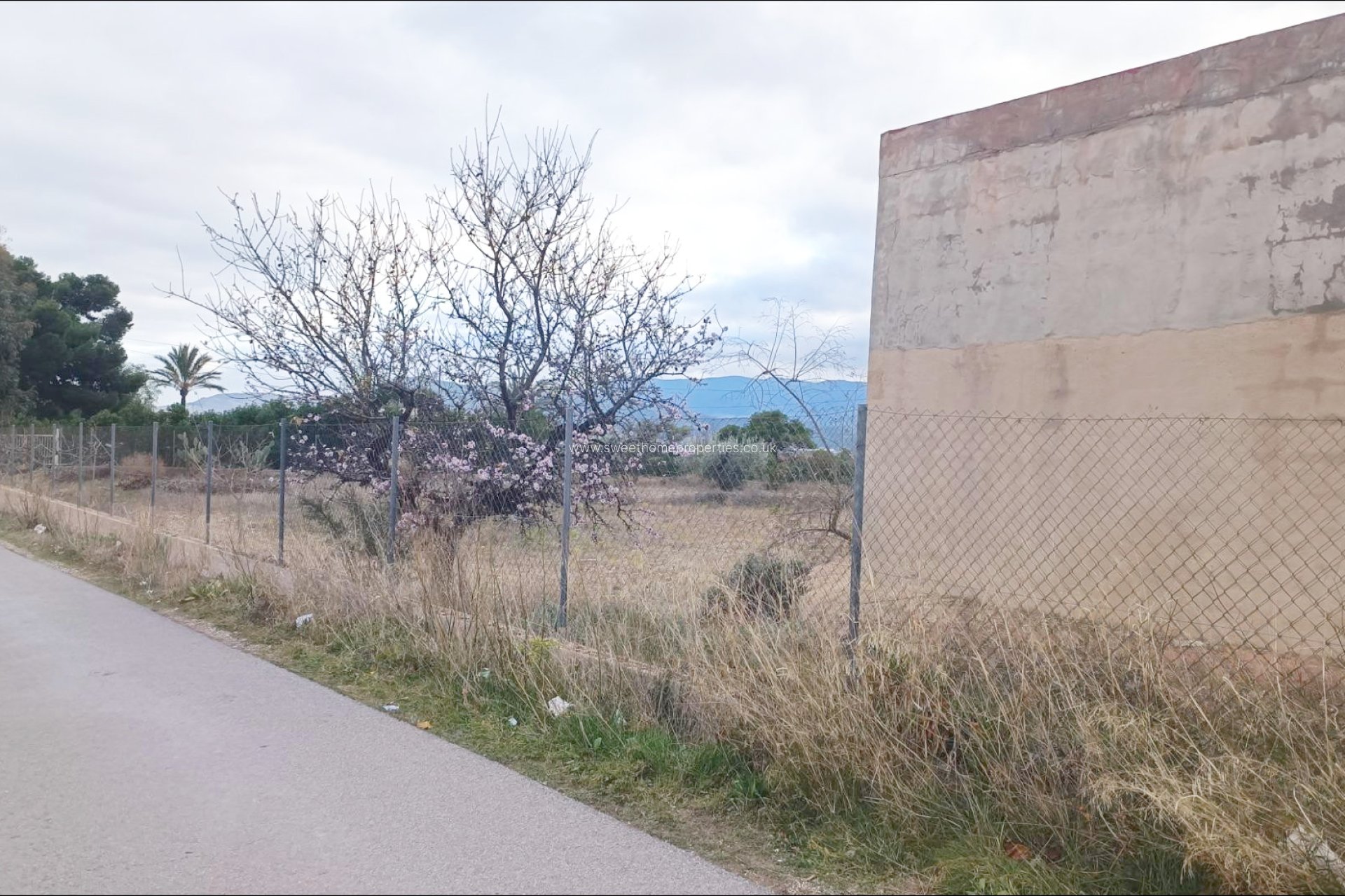 Reventa - Casa de campo - La Romana - Comunidad valenciana