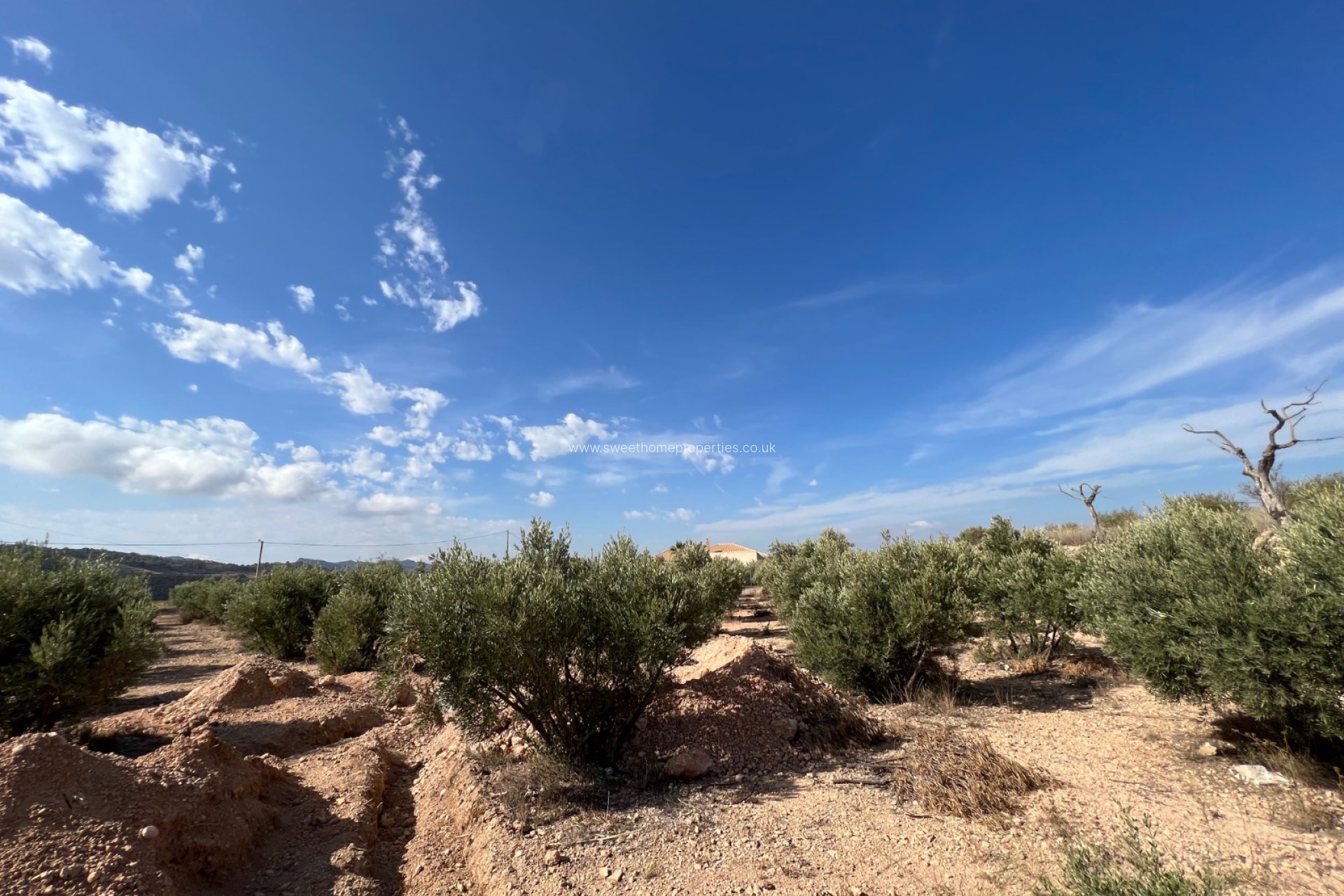 Reventa - Casa de campo - Macisvenda