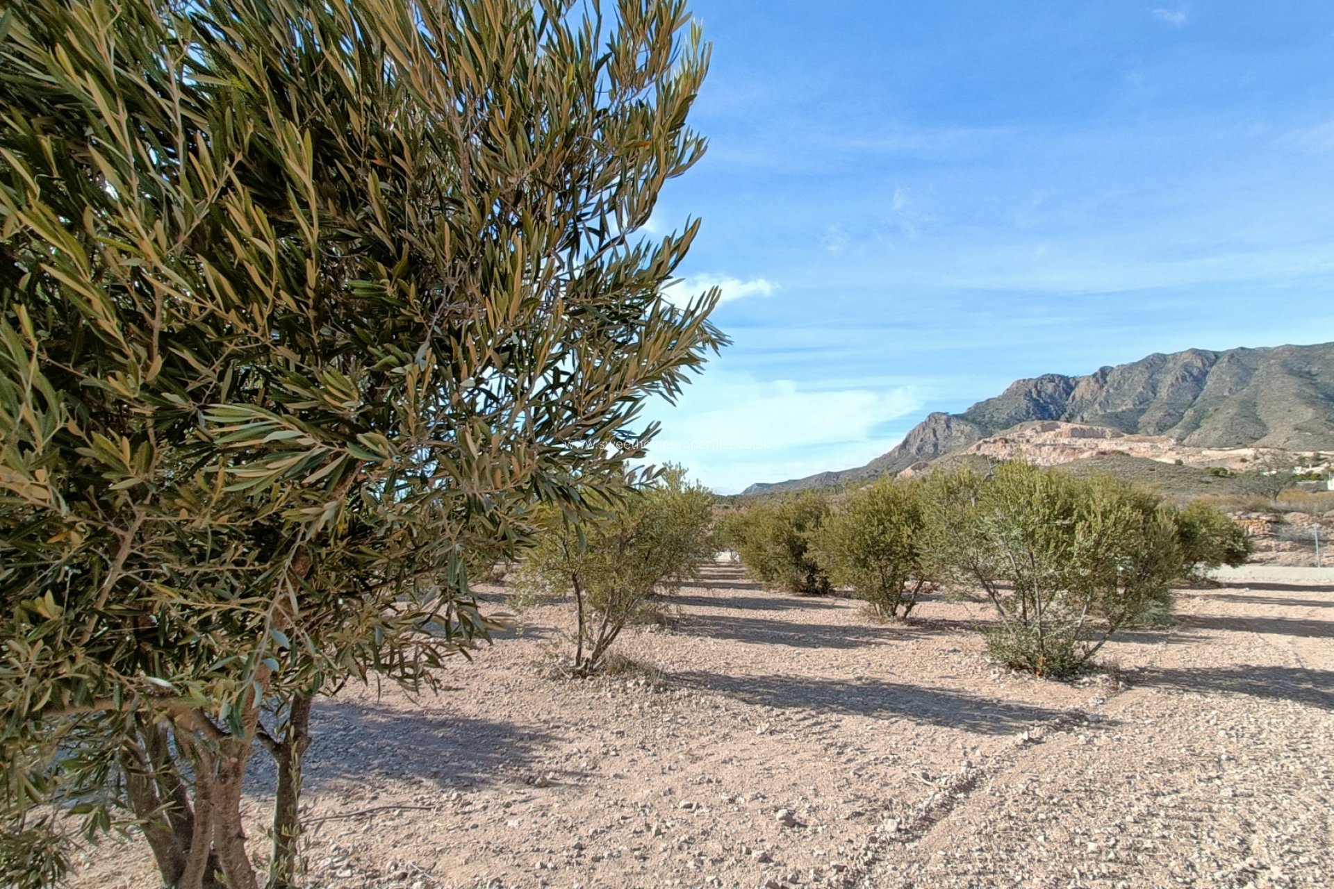 Reventa - Casa de campo - Macisvenda