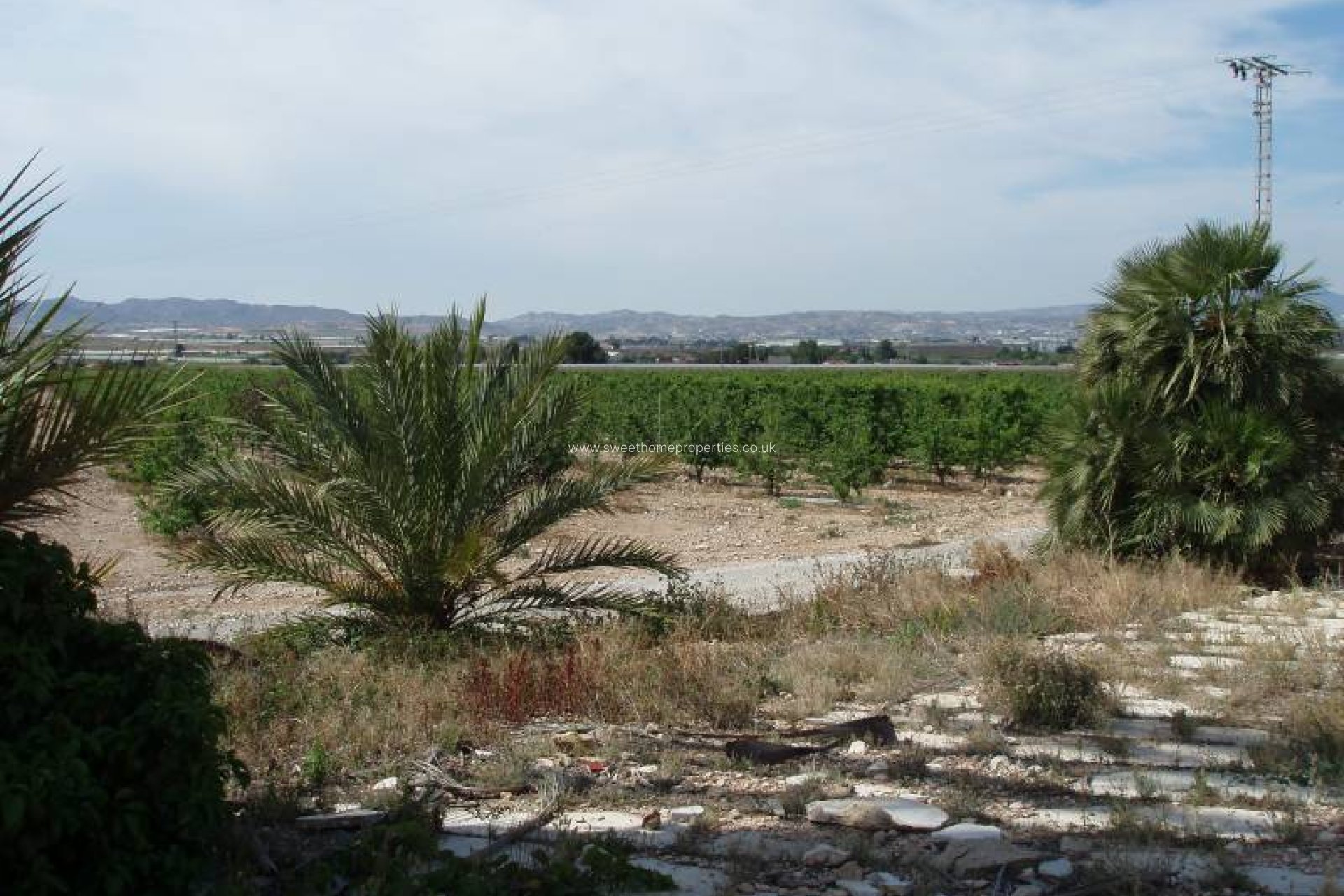 Reventa - Casa de campo - Monforte del Cid - GABARRERA